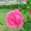 예산읍011 이미지