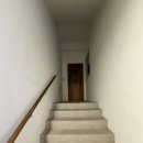 글라드 세화 이미지