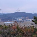 팔탄면사무소 이미지