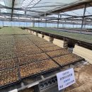 (주)유앤미팜 이미지