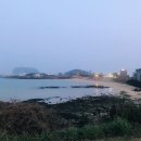 푸른밤 그별아래 | 제주도~푸른밤 그 별 아래 (완)