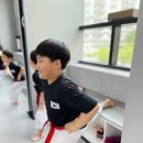 베테랑태권도 이미지
