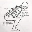 무포스