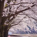 녹주한아름아파트 이미지