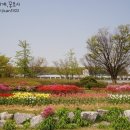 보라매공원 이미지