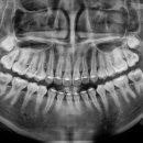 보배로운치과의원 이미지