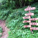 상관 공기마을 편백숲 이미지