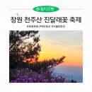 천주산 만남의 광장 | 경남 창원 천주산 진달래축제 야간등산 후기