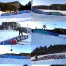 Dragon Park 이미지