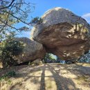 유달산클럽 이미지