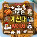 8 | 코스트코 소바바 황금홀릭 순살치킨 에어프라이어 8분 후기