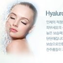 바람K의원