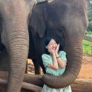 코옵뷰(CO-OP뷰) | 치앙마이 여행기 (1/3)