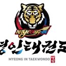 용인대명인태권도 이미지