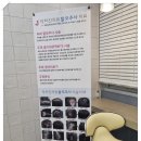 진앤모