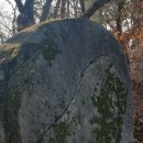 여주온천 이미지