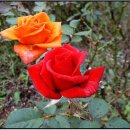 김종섭농장 이미지