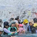 250729 뜻밖 장소에서 발견된… 6천만원 김건희 목걸이 이미지