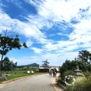 상하다만목장 이미지