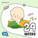 NR-34[서해로]-하-60 | [24,25주 임신기록] 임당검사 통과/입체 초음파 성공/몸무게 변화/증상/베이징 일상