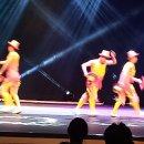 동춘서커스 초인의 비상 | [4년 전 오늘] #동춘서커스 #초인의비상 #친환경블루베리 #친환경블루베리농장