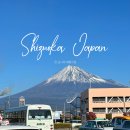 카카오호텔(Hotel Cacao) | 후지산 여행 시즈오카 숙소 추천 호텔 올레인 / 온천 조식 대욕장 찐 내돈내산 후기 ♥