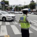 10월 부터 집중 단속 이미지
