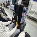 11650-7-31-11 | 제31회 전국대학수영선수권대회ㅣ2박3일 수영대회 후기(with 스크류)🏊‍♀️🏊‍♂️