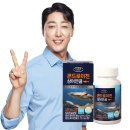 에버그린 이미지