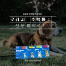 신보룡약국 이미지