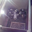 정택농장 이미지