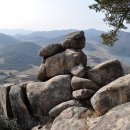 흥양농협남부주유소 이미지