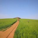 남당목장 이미지