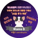 워너비옵틱 이미지