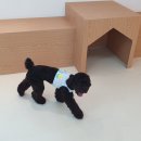 맡겨보개 이미지