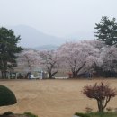 봉암초등학교 이미지