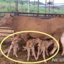 이성우농장 이미지