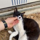 [강화도] 갓성비 캠핑용품 추천, 마니산 아래 위치한 함허동천 야영장 힐링 캠핑