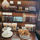 모찌모찌브레드 이미지