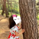 보리네숲어린이집 이미지