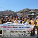 대한적십자사 이미지