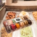 태양광 디오앤피 | 라스베가스 벨라지오 호텔 숙소 전망 &amp; 분수쇼 시간·태양의 서커스·맛집까지! 미국서부여행