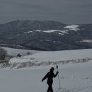 삼양 | 강원도 평창 셀프 웨딩스냅 촬영후기ㅣ삼양라운드힐