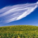 강변서로 이미지