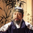 뿌리깊은나무 이미지