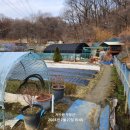 연세농장 이미지