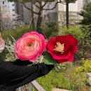 [오프라인] ★자이언트플라워★ / 화양동 | 자이언트 플라워 도안 볼 수 있는 사이트