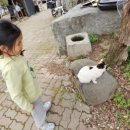 나그네 캠핑장 이미지