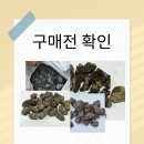 자연질감 티스토리