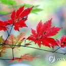 백천 이미지